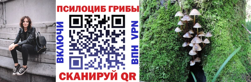 Галлюциногенные грибы Magic Shrooms Щёкино